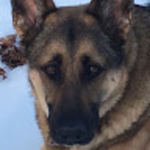 Meet your Posher, Jane